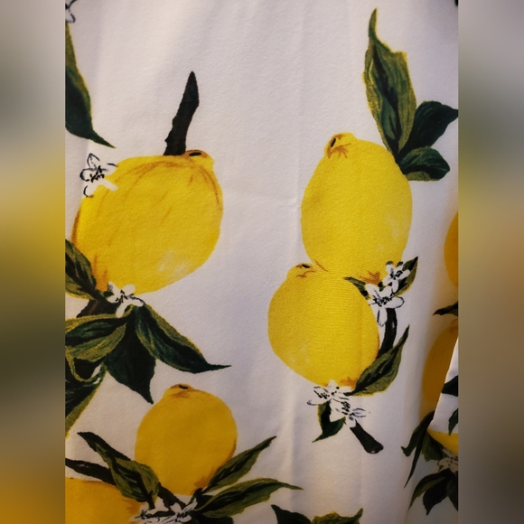 Easy Peasy, Lemon Squeezy! Cute vintage style swing dress - lemon print - size L - Picture 7 of 7